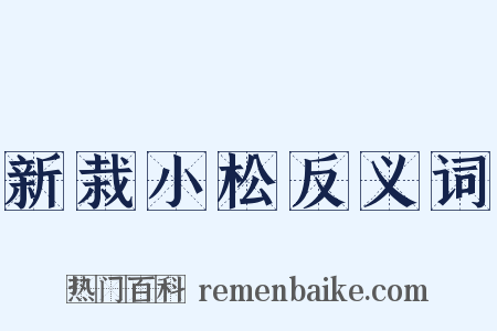 新栽小松反义词是什么意思的图片